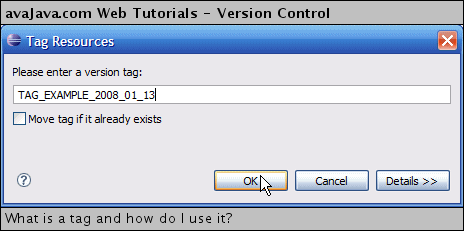 Tag Resources as TAG_EXAMPLE_2008_01_13