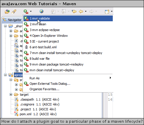 Executing 'mvn validate' on 'aproject'
