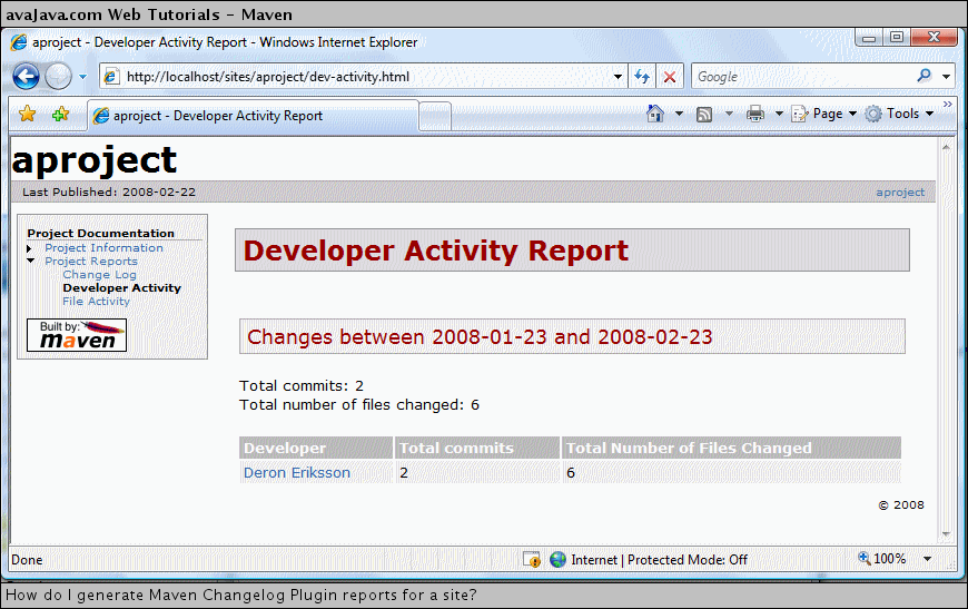 Developer Activity Report
